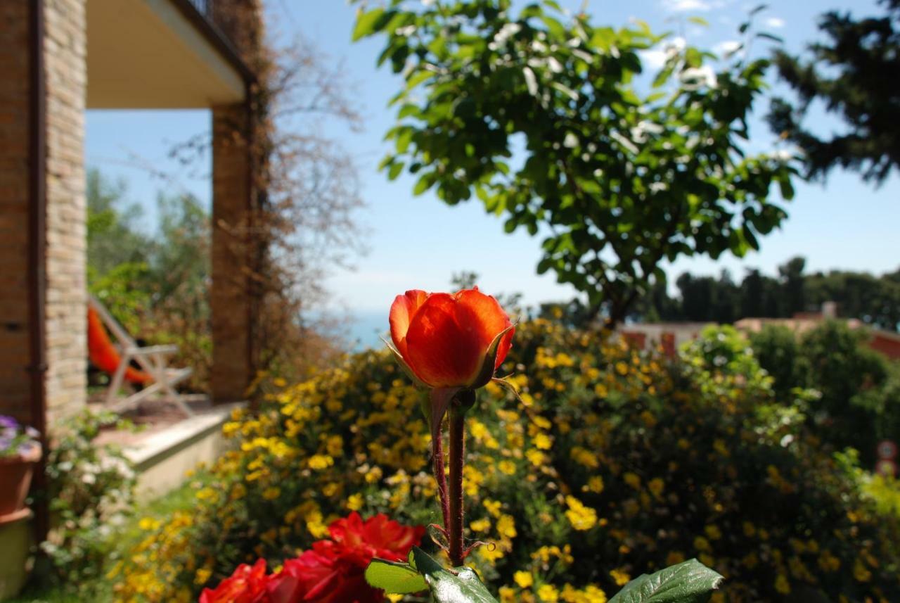 Bed & Breakfast Latteletto Tortoreto ภายนอก รูปภาพ